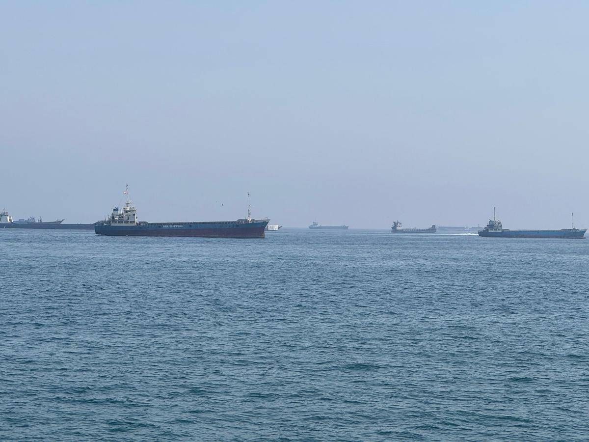 Non solo petrolio, la guerra tra Iran e Usa blocca i pistacchi: stop all’export