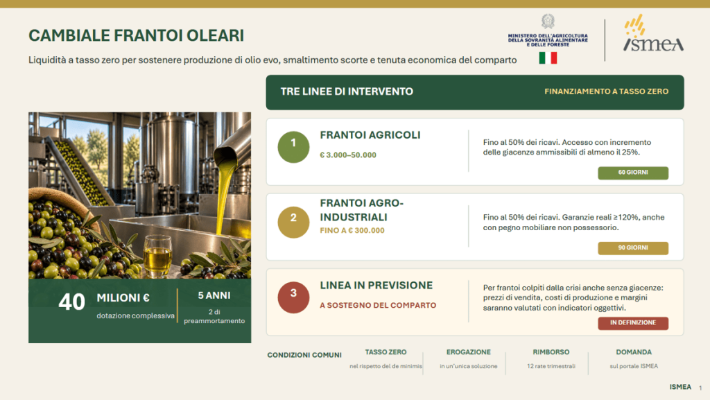 Agricoltura, Ismea: 40 mln per frantoi con ‘Cambiale Frantoi Oleari’