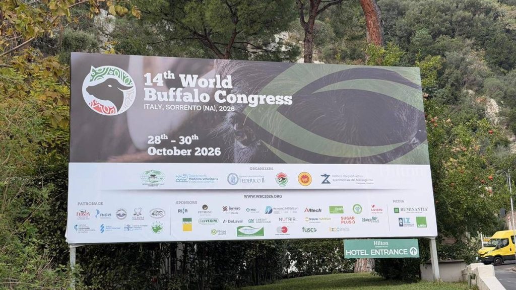 ‘World Buffalo Congress’ road map per futuro con meno burocrazia e più innovazione